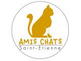 ami chat saint etienne|Amis Chats Loire